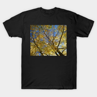 Stylised blue sky, yellow leaves T-Shirt